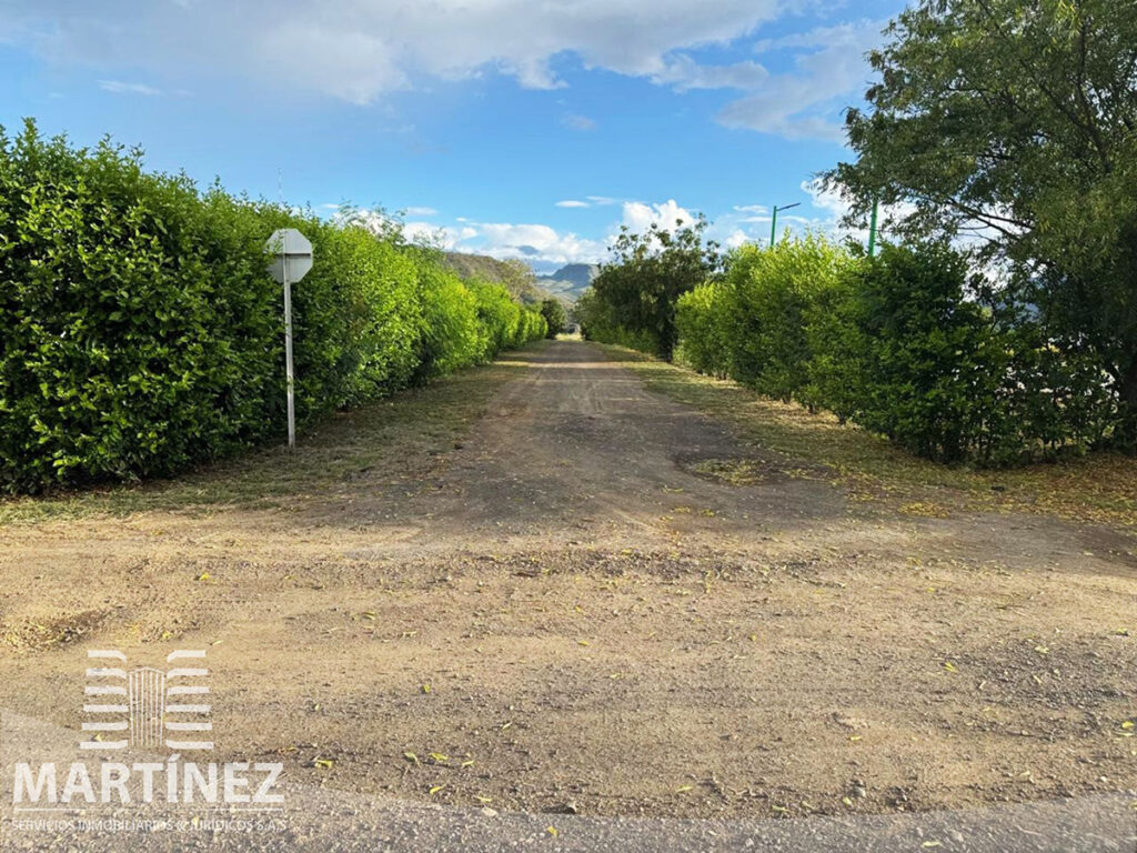 finca-en-arriendo-remolino-600901